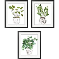 Framed Plant in a Pot 3 Piece Framed Art Print Set
