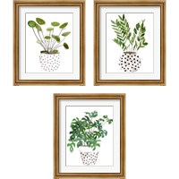 Framed 'Plant in a Pot 3 Piece Framed Art Print Set' border=