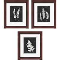 Framed 'Forest Shadows Black 3 Piece Framed Art Print Set' border=