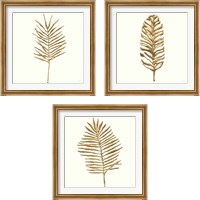 Framed Gilded Palm 3 Piece Framed Art Print Set