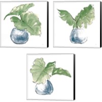 Framed Plant Big Leaf 3 Piece Canvas Print Set