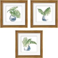 Framed 'Plant Big Leaf 3 Piece Framed Art Print Set' border=