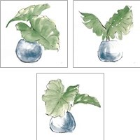 Framed 'Plant Big Leaf 3 Piece Art Print Set' border=