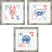 Framed 'Coastal Jewels 3 Piece Framed Art Print Set' border=