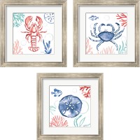 Framed 'Coastal Jewels 3 Piece Framed Art Print Set' border=