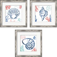 Framed 'Coastal Jewels 3 Piece Framed Art Print Set' border=