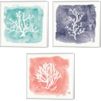 Framed 'Water Coral Cove 3 Piece Canvas Print Set' border=