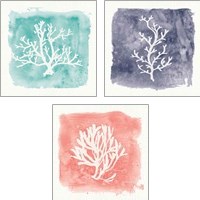 Framed 'Water Coral Cove 3 Piece Art Print Set' border=
