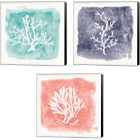 Framed 'Water Coral Cove 3 Piece Canvas Print Set' border=
