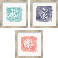 Framed 'Water Coral Cove 3 Piece Framed Art Print Set' border=