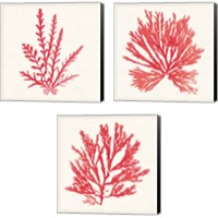 Framed 'Pacific Sea Mosses Red 3 Piece Canvas Print Set' border=