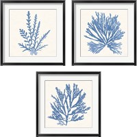 Framed Pacific Sea Mosses Light Blue 3 Piece Framed Art Print Set