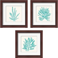Framed 'Pacific Sea Mosses Aqua 3 Piece Framed Art Print Set' border=