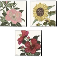 Framed 'Floral Study 3 Piece Canvas Print Set' border=