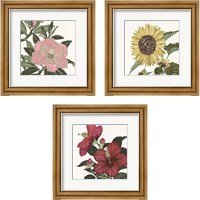 Framed 'Floral Study 3 Piece Framed Art Print Set' border=