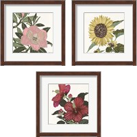 Framed 'Floral Study 3 Piece Framed Art Print Set' border=