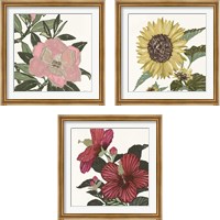 Framed Floral Study 3 Piece Framed Art Print Set
