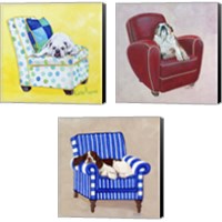 Framed Dogs on Chairs 3 Piece Canvas Print Set