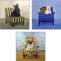 Framed Dogs on Chairs 3 Piece Art Print Set