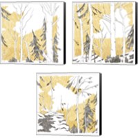 Framed 'Northwood 3 Piece Canvas Print Set' border=