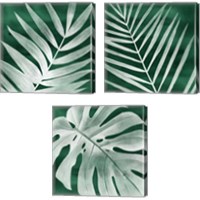Framed 'Velvet Palm 3 Piece Canvas Print Set' border=