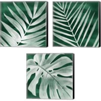 Framed 'Velvet Palm 3 Piece Canvas Print Set' border=