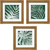 Framed Velvet Palm 3 Piece Framed Art Print Set