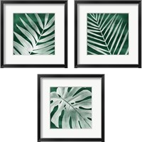 Framed 'Velvet Palm 3 Piece Framed Art Print Set' border=