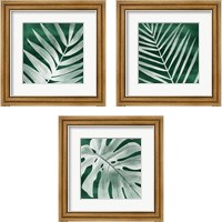 Framed 'Velvet Palm 3 Piece Framed Art Print Set' border=