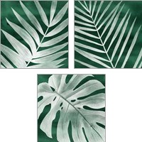 Framed Velvet Palm 3 Piece Art Print Set