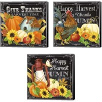 Framed 'Harvest Greetings 3 Piece Canvas Print Set' border=