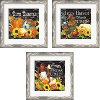 Framed 'Harvest Greetings 3 Piece Framed Art Print Set' border=