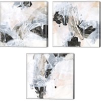 Framed 'Veiled Formation 3 Piece Canvas Print Set' border=