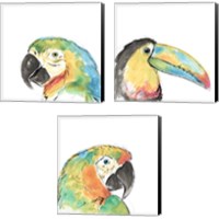Framed 'Tropical Bird Portrait 3 Piece Canvas Print Set' border=