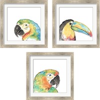 Framed Tropical Bird Portrait 3 Piece Framed Art Print Set