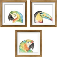 Framed Tropical Bird Portrait 3 Piece Framed Art Print Set