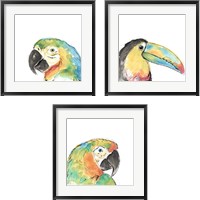 Framed Tropical Bird Portrait 3 Piece Framed Art Print Set