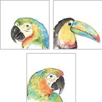 Framed Tropical Bird Portrait 3 Piece Art Print Set
