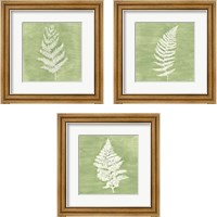 Framed Forest Ferns 3 Piece Framed Art Print Set
