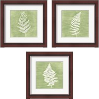 Framed 'Forest Ferns 3 Piece Framed Art Print Set' border=