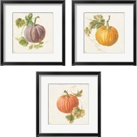 Framed Floursack Autumn 3 Piece Framed Art Print Set
