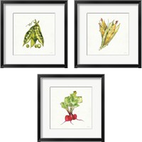 Framed Veggie Market 3 Piece Framed Art Print Set