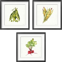 Framed 'Veggie Market 3 Piece Framed Art Print Set' border=