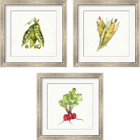 Framed 'Veggie Market 3 Piece Framed Art Print Set' border=