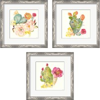 Framed 'Succulent Desert 3 Piece Framed Art Print Set' border=