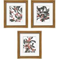 Framed 'Colorblock Berry Branch 3 Piece Framed Art Print Set' border=