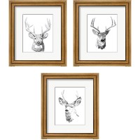 Framed 'Young Buck Sketch 3 Piece Framed Art Print Set' border=