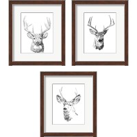 Framed 'Young Buck Sketch 3 Piece Framed Art Print Set' border=