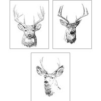 Framed 'Young Buck Sketch 3 Piece Art Print Set' border=