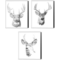 Framed 'Young Buck Sketch 3 Piece Canvas Print Set' border=